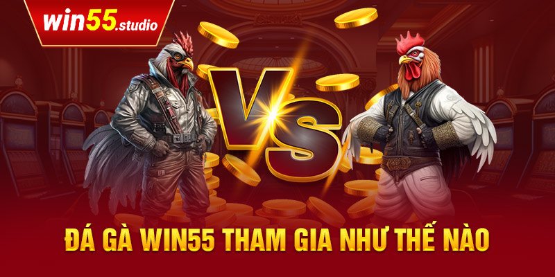 Đá gà win55 tham gia như thế nào