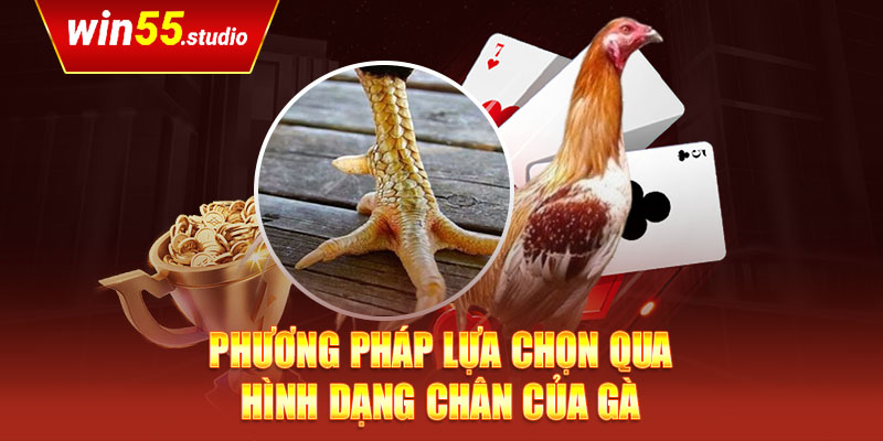 Phương pháp lựa chọn qua hình dạng chân của gà