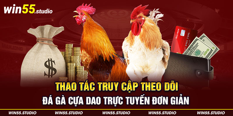 Thao tác truy cập theo dõi đá gà cựa dao trực tuyến đơn giản