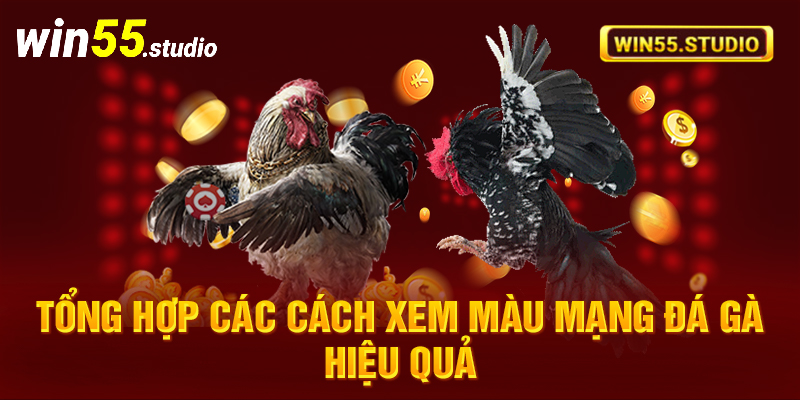 Tổng hợp các cách xem màu mạng đá gà hiệu quả 