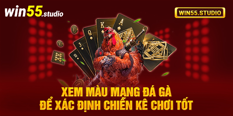 Xem màu mạng đá gà để xác định chiến kê chơi tốt 